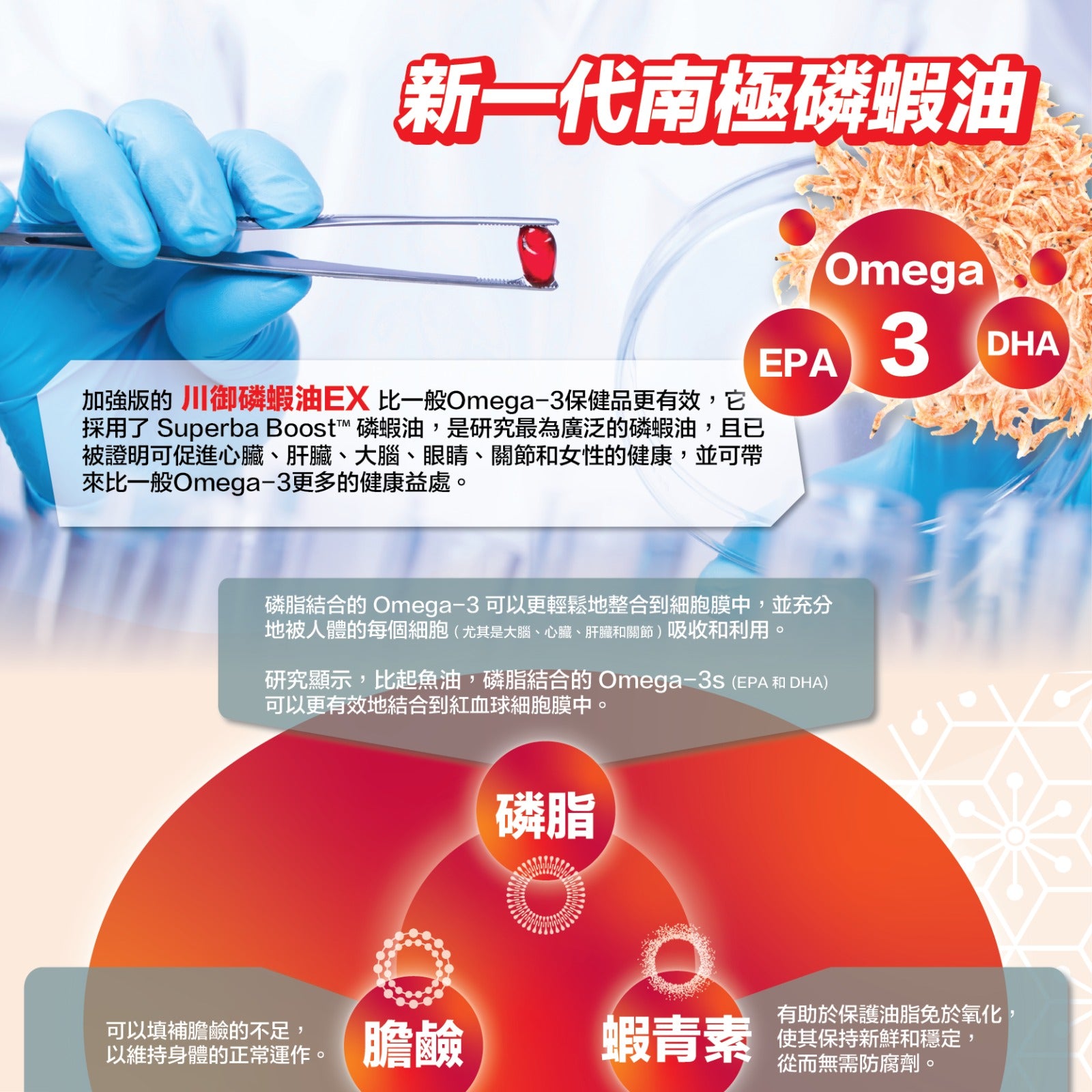 川御 -【裕美力推】醫學級南極磷蝦油 (30粒膠囊裝) 純淨南極品質 全面抗炎