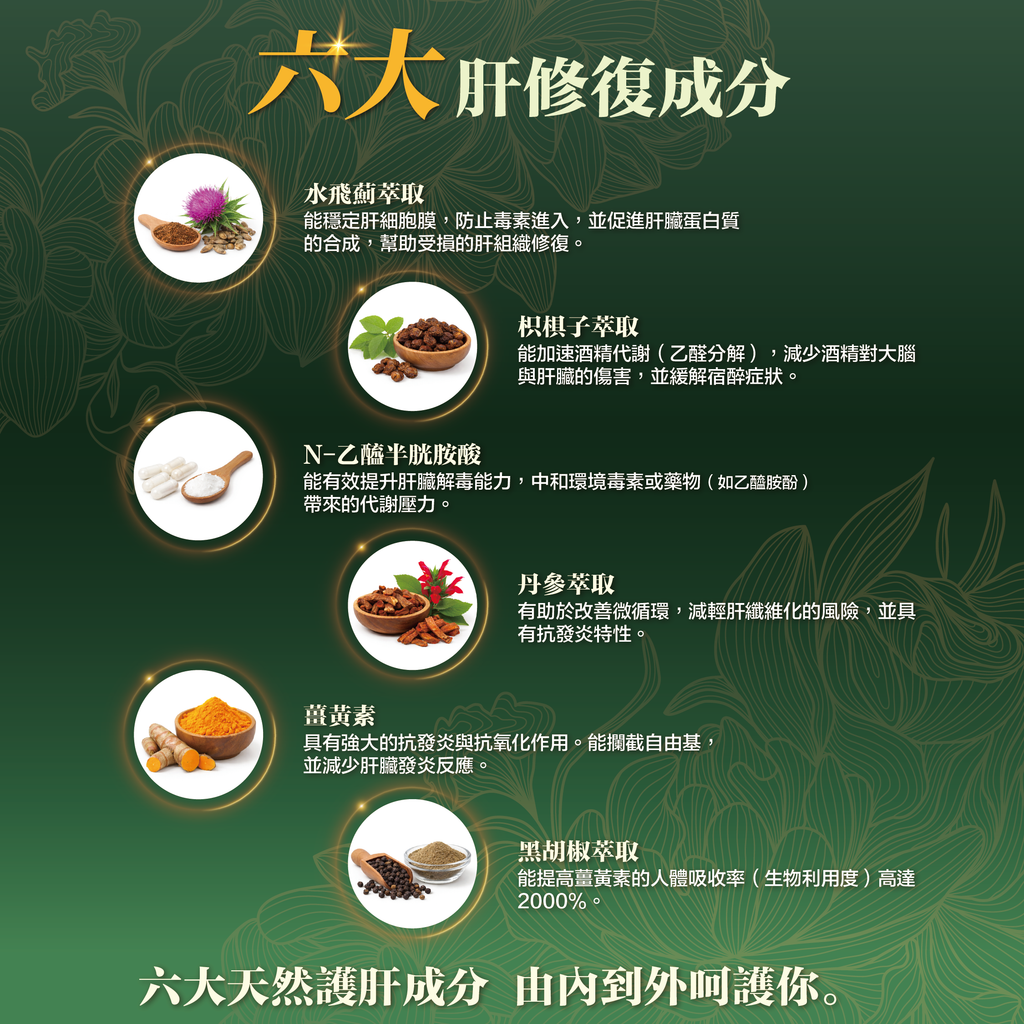 川御 - 護肝之皇 (60粒膠囊裝) 全效三維護肝 黃金抗炎組合