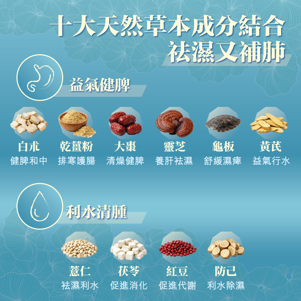 川御 - 十全袪濕 (30粒膠囊裝) 濕重速速走 排毒除濕去虛胖