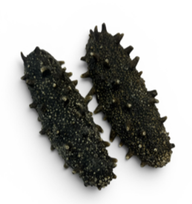好棧 - 淡乾遼參 (2支裝) (備注: 大小為1斤35-60支)